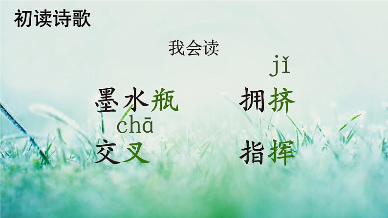 部编版四年级语文下册 第三单元 10 绿 课件PPT05