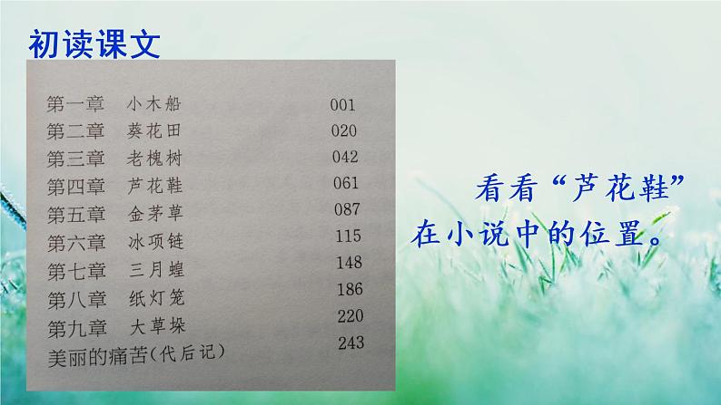 部编版四年级语文下册 第六单元 20 芦花鞋第6页