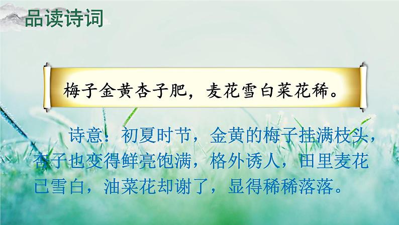 部编版四年级语文下册 第一单元 1 古诗词三首第7页