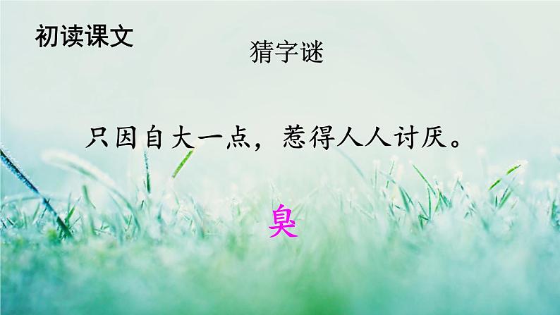 部编版四年级语文下册  第二单元 7 纳米技术就在我们身边第8页