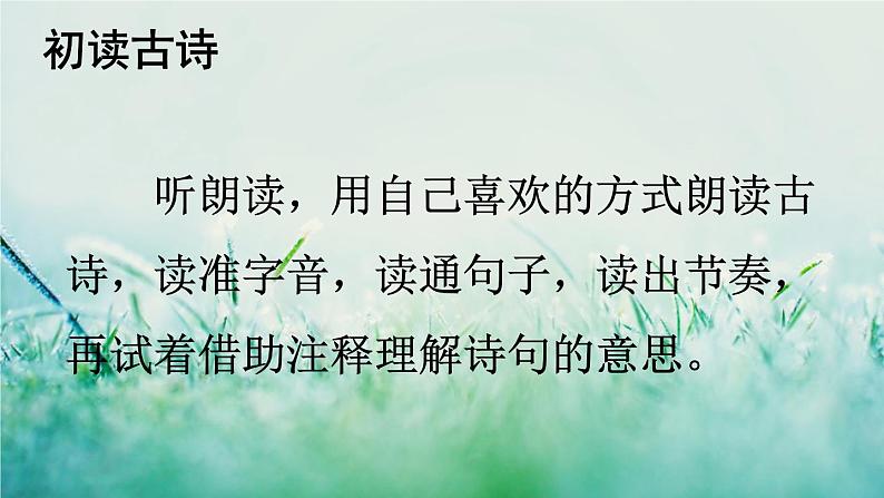 部编版四年级语文下册  第七单元 22古诗三首 课件PPT06