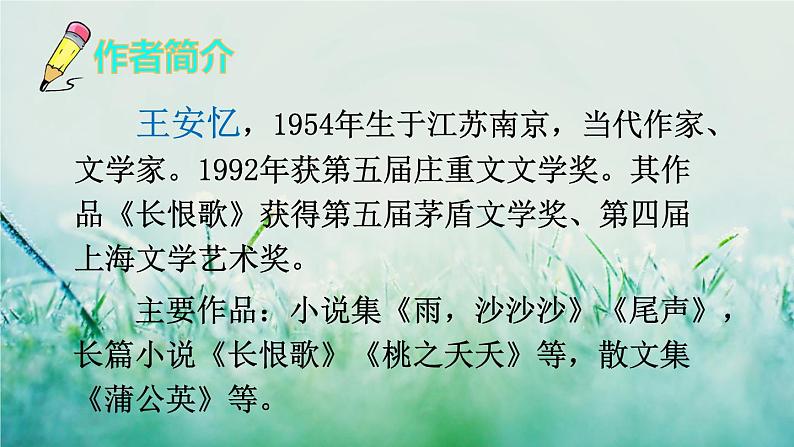 部编版四年级语文下册 第六单元 20 我们家的男子汉 课件PPT03