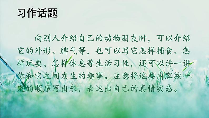 部编版四年级语文下册 第四单元 习作：我的动物朋友第3页