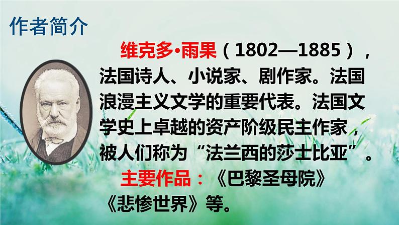 部编版四年级语文下册 第七单元 23 “诺曼底号”遇难记 课件PPT05