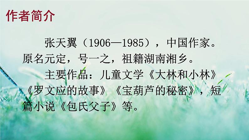 部编版四年级语文下册  第八单元 26宝葫芦的秘密（节选） 课件PPT03