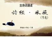 六年级下册语文课件-古诗词诵读--采薇（节选） 部编版