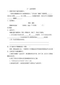 小学语文人教部编版六年级下册13* 金色的鱼钩一课一练