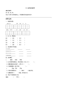 小学语文人教部编版六年级下册13* 金色的鱼钩课时训练