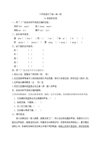 人教部编版六年级下册15 表里的生物精练