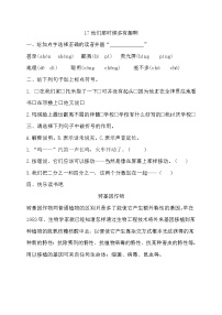 小学17* 他们那时候多有趣啊练习题