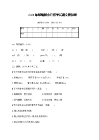 2021年部编版小升初考试语文模拟卷（含答案）