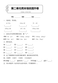 2021学年第二单元单元综合与测试巩固练习