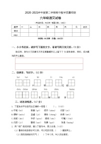 六年级下册语文期中检测题  人教部编版（含答案）