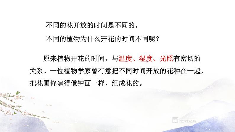 人教部编版语文三年级下册：第四单元 13.花钟课件08