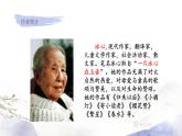 人教部编版语文三年级下册：第六单元 20.肥皂泡课件