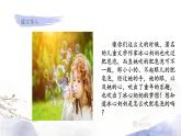 人教部编版语文三年级下册：第六单元 20.肥皂泡课件