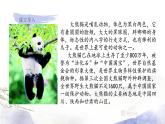 人教部编版语文三年级下册：第七单元  习作：国宝大熊猫课件
