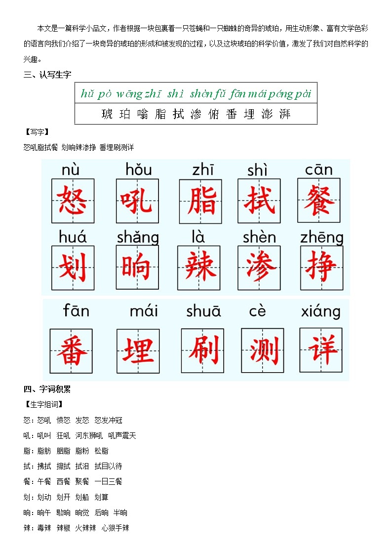 【部编版】四年级下册语文 5 琥珀-同步辅导及作业 练习02