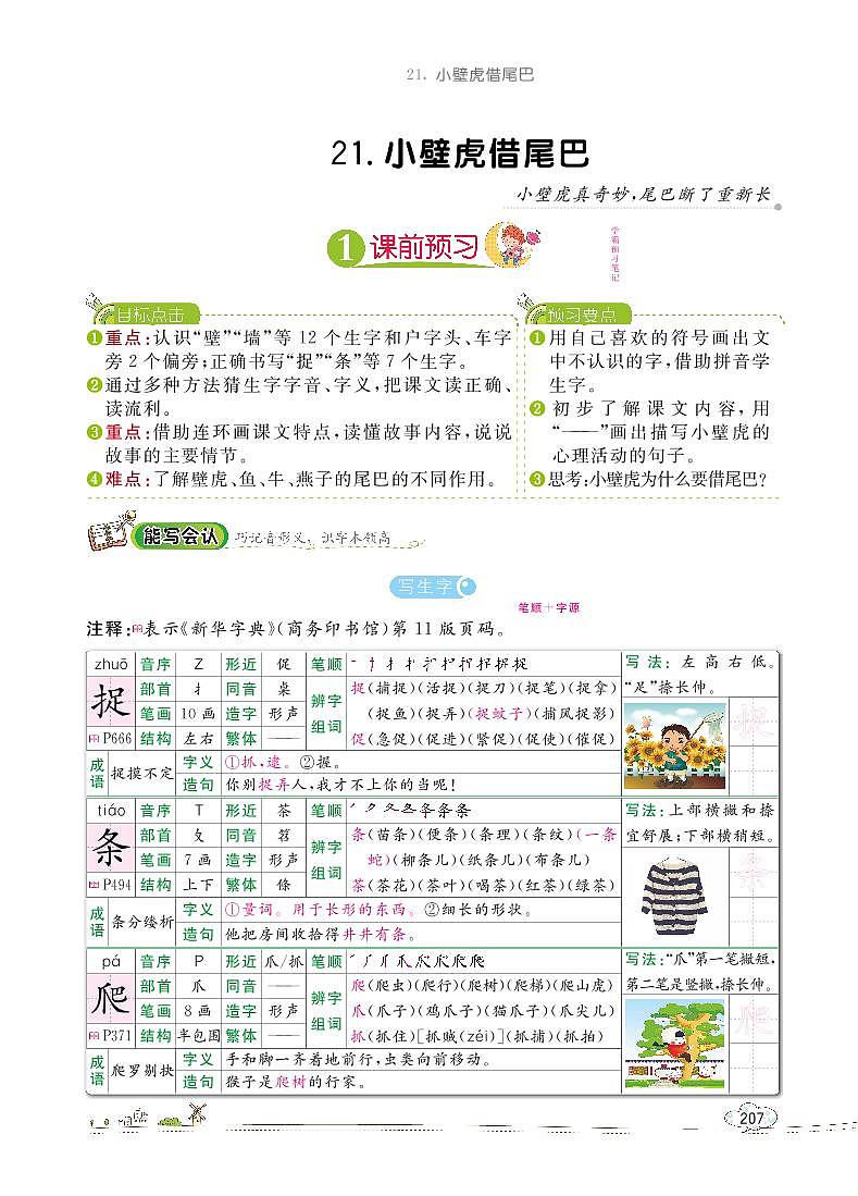 部编版语文一下：21 小壁虎借尾巴 教材解读（含随堂练习）01