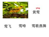 1.古诗二首 村居 课件