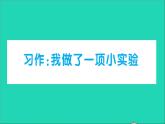 新人教部编版三年级语文下册第四单元习作我做了一项小实验作业课件