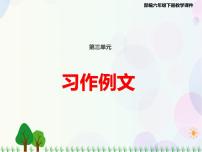 人教部编版六年级下册3 江畔独步寻花说课课件ppt