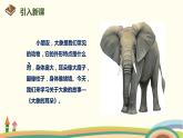 人教部编版语文二年级下册：第七单元 课文6    19 大象的耳朵课件