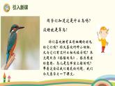 部编版语文三年级上册 15《搭船的鸟》第1课时PPT课件