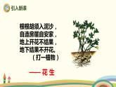 人教部编版版五年级上册 2《落花生》 ppt课件