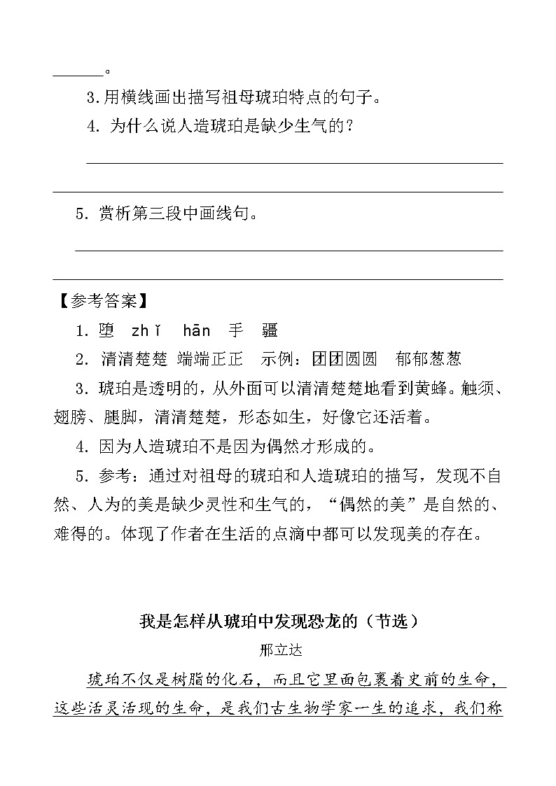 人教部编版四年级下册语文阅读专项训练 5 琥珀（word版，有答案）02