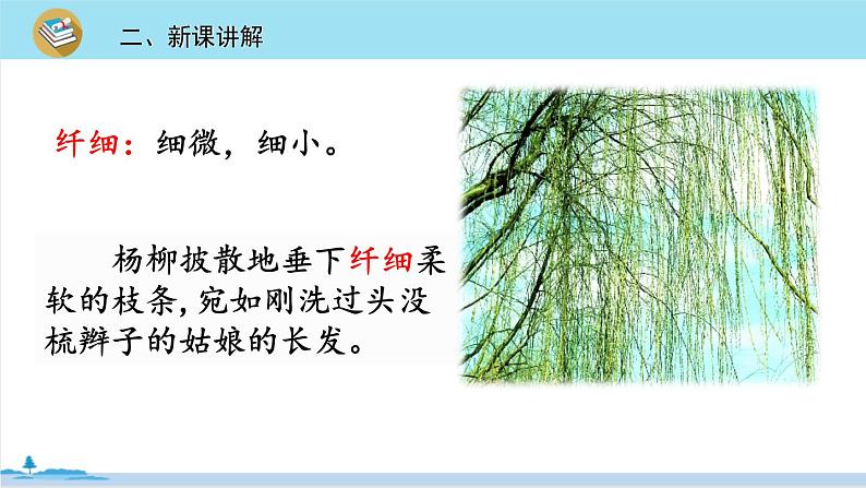 四年级语文部编版下册 4《三月桃花水》PPT课件08