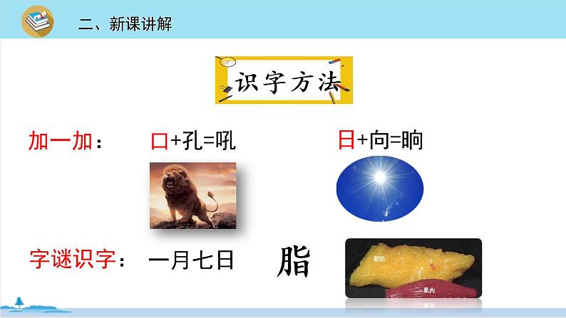 四年级语文部编版下册 5《琥珀》PPT课件07