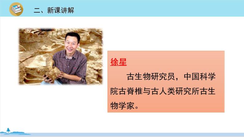 人教部编版四年级下册6飞向蓝天的恐龙课堂教学课件ppt