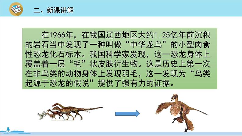 四年级语文部编版下册 6《飞向蓝天的恐龙》PPT课件07