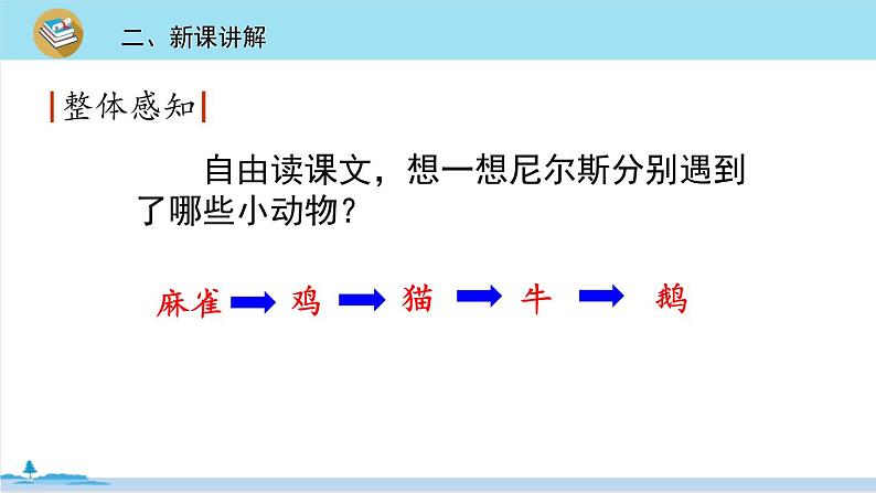 六年级语文部编版下册 6《骑鹅旅行记（节选）》PPT课件04