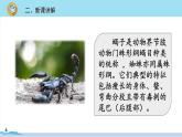 六年级语文部编版下册 16《表里的生物》PPT课件