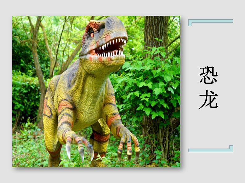 部编版四年级下册语文第6课飞向蓝天的恐龙课件04