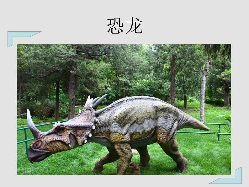 部编版四年级下册语文第6课飞向蓝天的恐龙课件05
