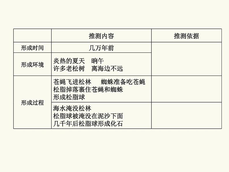 四年级下册语文5 琥珀 第二课时课件第5页