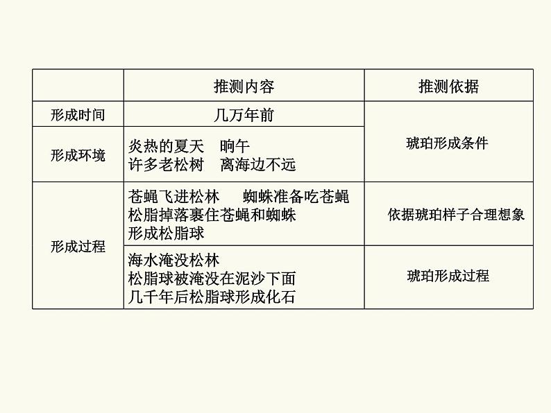 四年级下册语文5 琥珀 第二课时课件第6页