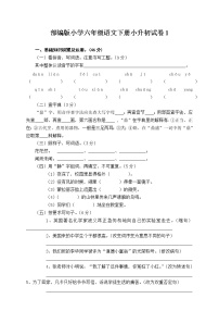 部编版小学六年级语文下册小升初试卷（1）