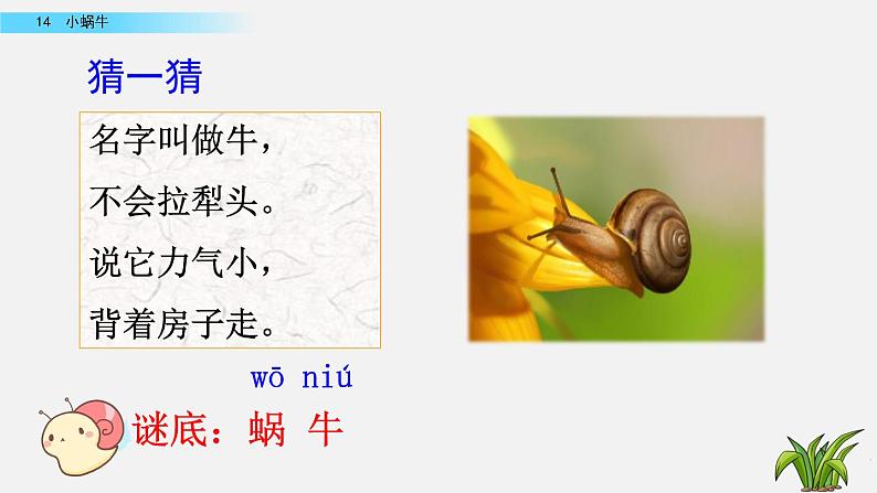 部编版一年级上册语文课文14小蜗牛课件+全部素材课件+素材01