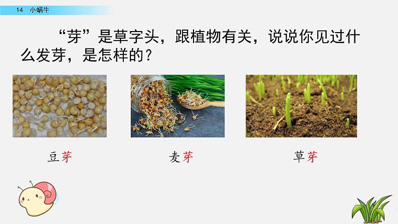 部编版一年级上册语文课文14小蜗牛课件+全部素材课件+素材07