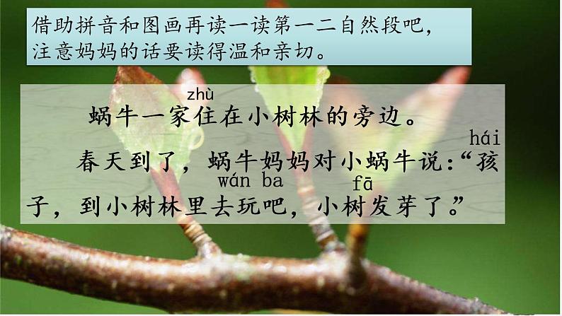 部编版一年级上册语文课文14小蜗牛课件+全部素材课件+素材08