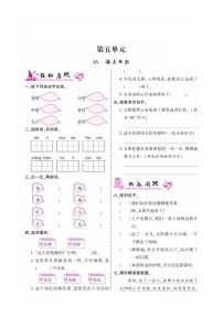 小学语文人教部编版四年级下册第五单元单元综合与测试课堂检测