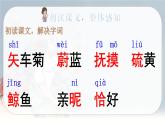 28 海的女儿   课件（19张ppt）