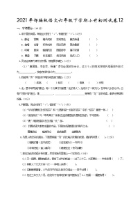 2021年部编版语文六年级下学期小升初测试卷含答案12