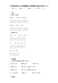 广东省深圳市2021年部编版小升初模拟考试语文试卷（十二）（word版 含答案）