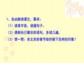 《北京的春节》优质课课件