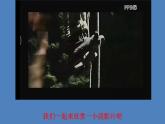 《汤姆 索亚历险记》优课一等奖教学课件